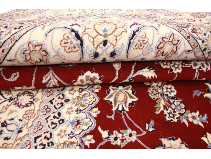 nain_habibian_rot_11