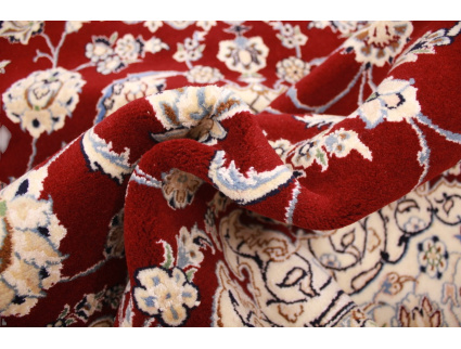 nain_habibian_rot_12