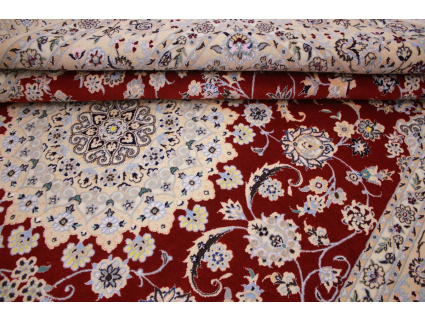 nain_habibian_rot_240x170_11