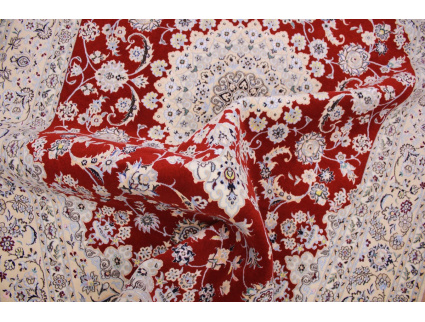 nain_habibian_rot_240x170_12