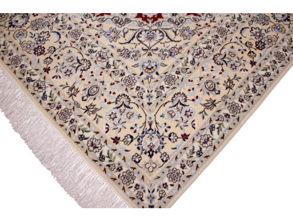 nain_habibian_rot_240x170_5