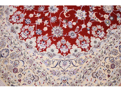 nain_habibian_rot_240x170_6