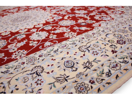 nain_habibian_rot_240x170_8