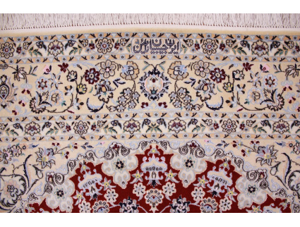 nain_habibian_rot_240x170_9