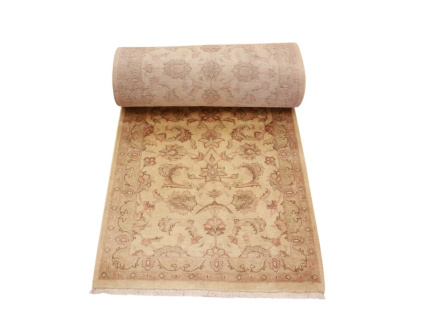 persischer_laufer__10