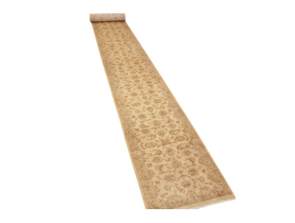 persischer_laufer__2