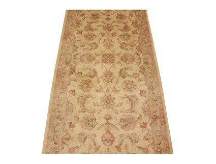 persischer_laufer__4