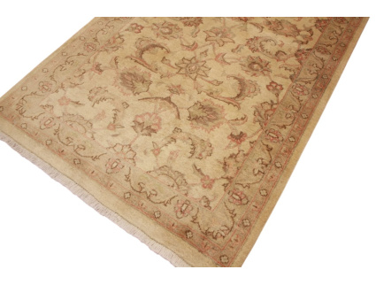 persischer_laufer__5