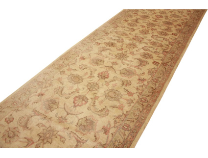 persischer_laufer__6