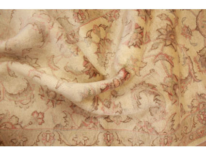 persischer_laufer__8