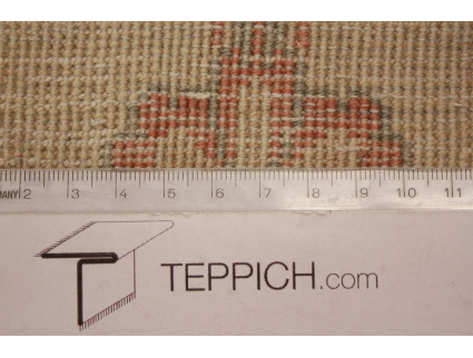 persischer_laufer__9