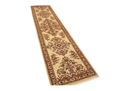 persischer_laufer_sarough_2