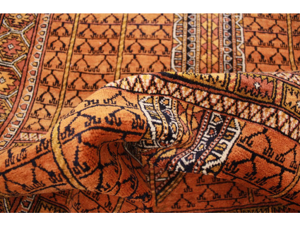 turkmene_haschtlou_11