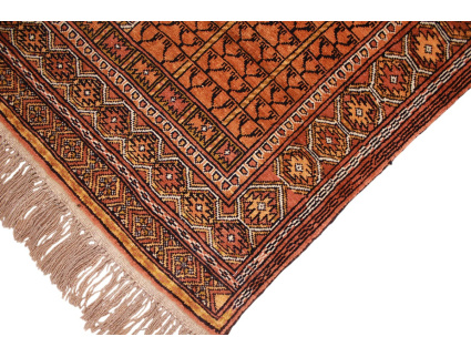 turkmene_haschtlou_6