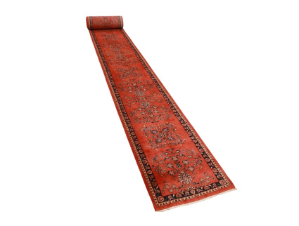 xxl_laufer_sarough_4_861354188