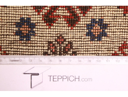 yalameh_laufer_13_696152316