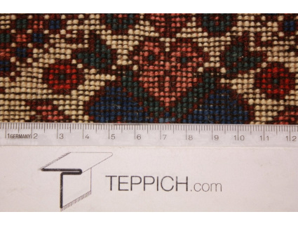 yalameh_laufer_13_89072608