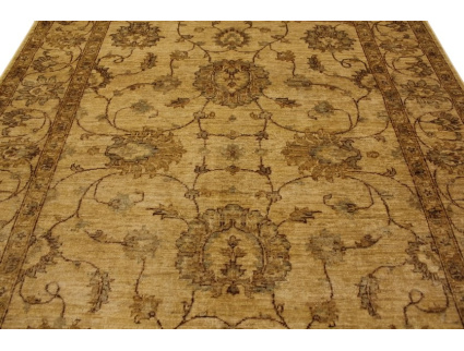 ziegler_beige_online_kaufen_4