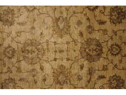 ziegler_beige_online_kaufen_8