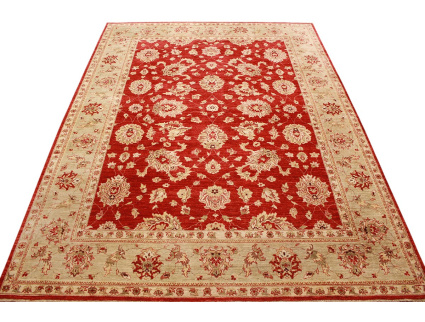 ziegler_rot_1_2106596835