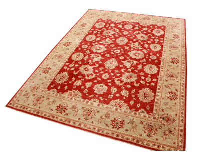 ziegler_rot_3_783413981