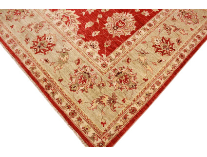 ziegler_rot_5_1043691185