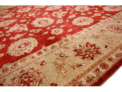 ziegler_rot_9_807413859