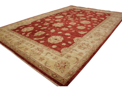 ziegler_rot_online_kaufen_10