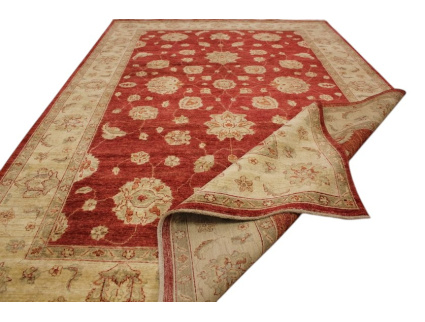 ziegler_rot_online_kaufen_11