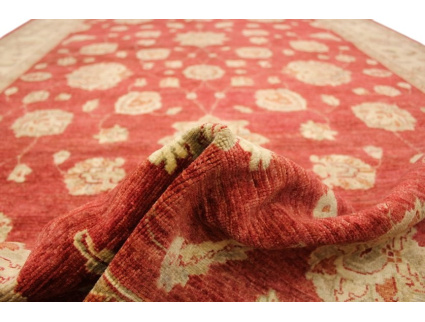 ziegler_rot_online_kaufen_12