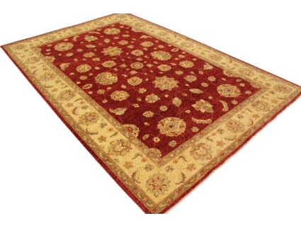 ziegler_rot_online_kaufen_3