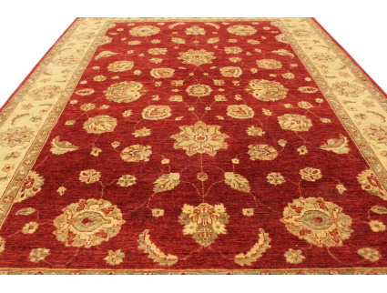 ziegler_rot_online_kaufen_4